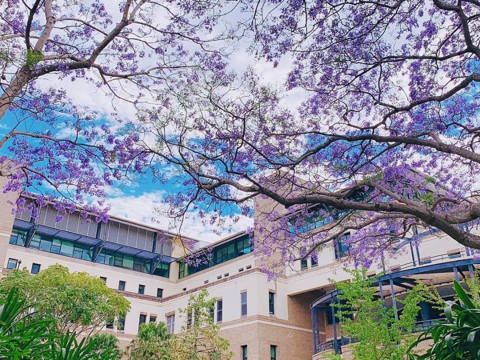 Themed Challenge Campus Photography UNSW